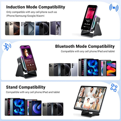 5-in-1 Induction Phone Speaker Stand